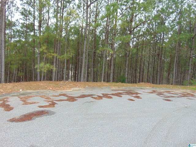 Listing photo 2 for 1208 Grande View Ln Unit 803, Alabaster AL 35114