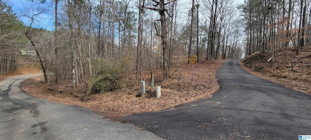 45 Coosa View Ln Unit 0, Riverside AL, 35135 land for sale