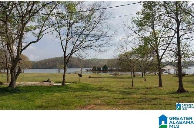 Listing photo 2 for 5400 Ranch Marina Rd, Pell City AL 35128