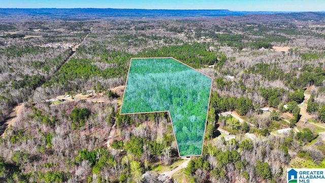 County Road 26 Unit 1B, Ashville AL, 35953 land for sale