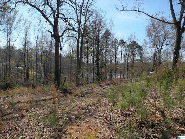 152 Honeysuckle Ln Unit 0, Sylacauga AL, 35150 land for sale