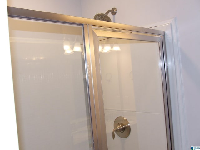 interior details featuring walk in shower