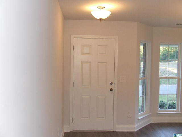 foyer featuring plenty of natural light and dark wood-type flooring