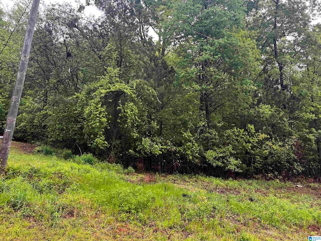 LOT6 Cason Ln Unit 8, Cropwell AL, 35054 land for sale