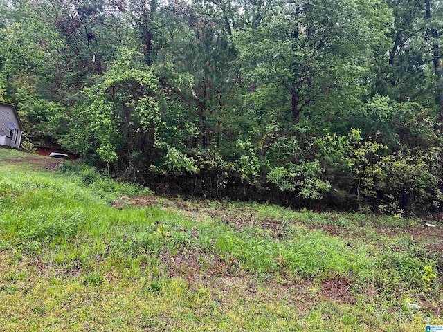 Listing photo 2 for LOT6 Cason Ln Unit 8, Cropwell AL 35054