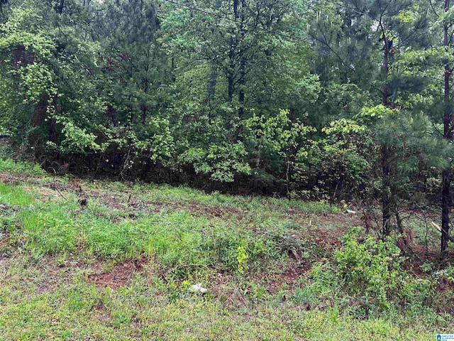 Listing photo 3 for LOT6 Cason Ln Unit 8, Cropwell AL 35054