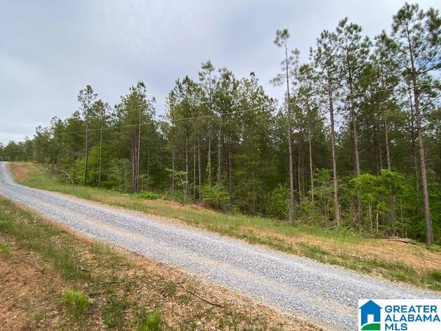 Listing photo 2 for Haven Dr Unit D, Columbiana AL 35051