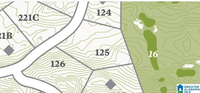 303 Carnoustie Unit 125, Birmingham AL, 35242 land for sale