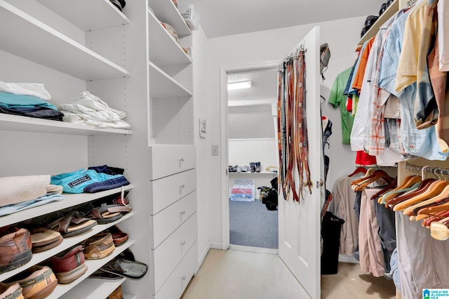 walk in closet featuring light carpet