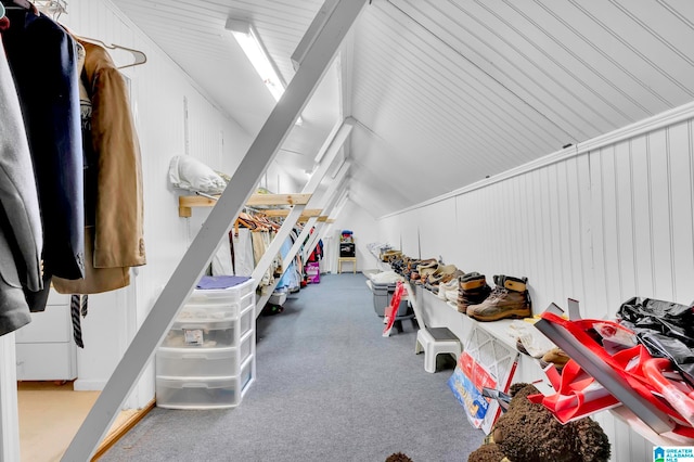 walk in closet with vaulted ceiling