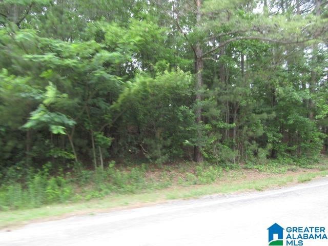 0 Choccolocco Rd Unit 0, Anniston AL, 36207 land for sale