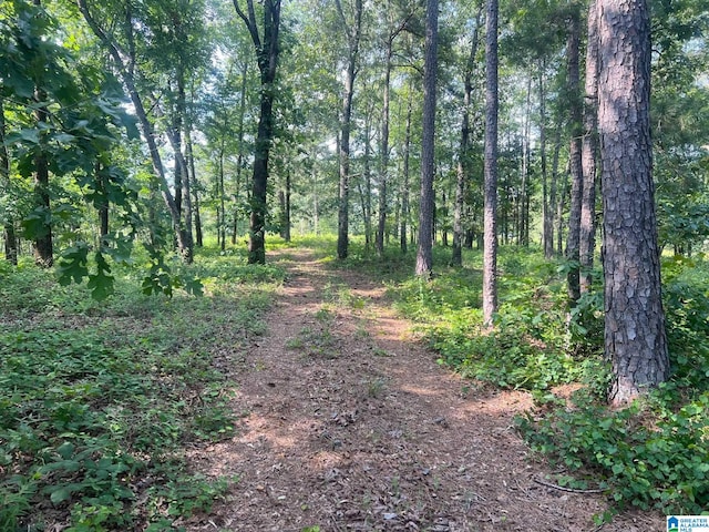 Listing photo 3 for 0 Funderburg Bend Rd Unit 0, Pell City AL 35128