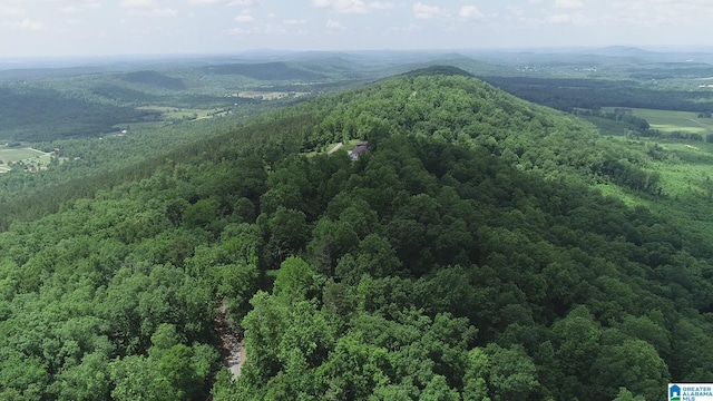 0 Beaver Mountain Rd Unit 38Acres, Ashville AL, 35953 land for sale