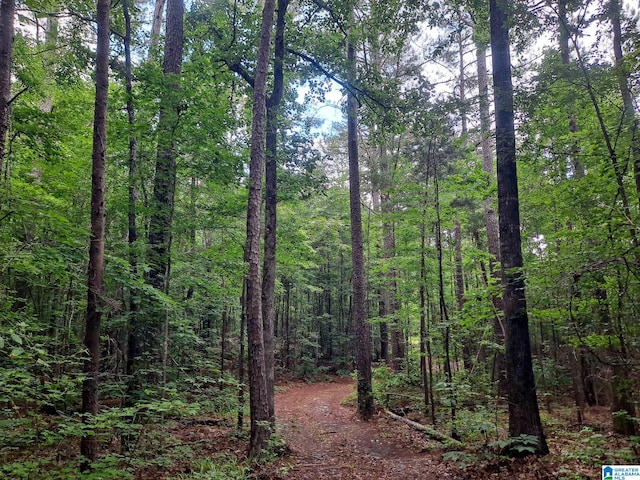 808 Fulton Hill Rd Unit 808, Oakman, AL 35579