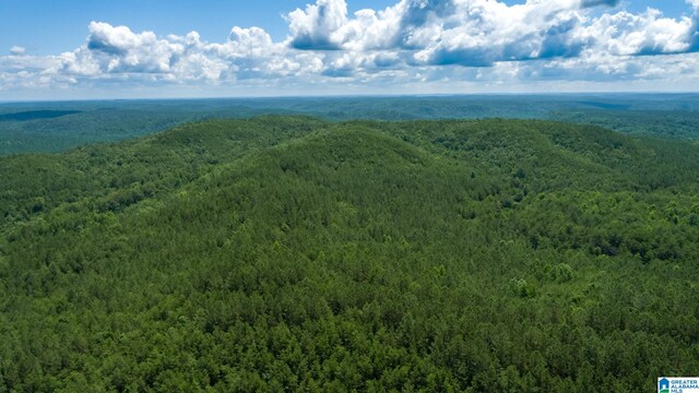 808 Fulton Hill Rd Unit 808, Oakman, AL 35579
