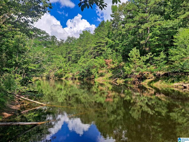 808 Fulton Hill Rd Unit 808, Oakman, AL 35579