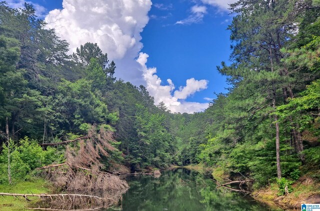 808 Fulton Hill Rd Unit 808, Oakman, AL 35579