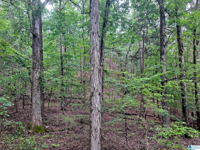808 Fulton Hill Rd Unit 808, Oakman, AL 35579