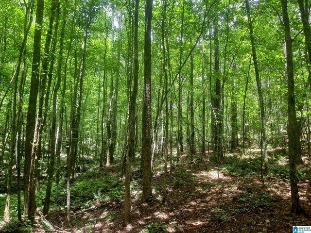 808 Fulton Hill Rd Unit 808, Oakman, AL 35579