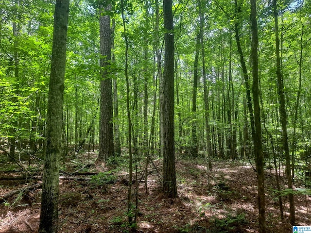 808 Fulton Hill Rd Unit 808, Oakman, AL 35579