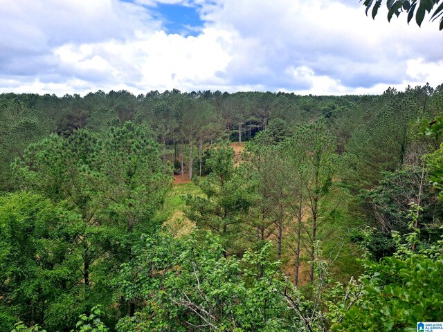 808 Fulton Hill Rd Unit 808, Oakman, AL 35579