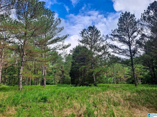 808 Fulton Hill Rd Unit 808, Oakman, AL 35579