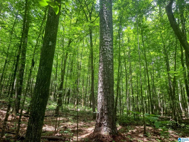 808 Fulton Hill Rd Unit 808, Oakman, AL 35579