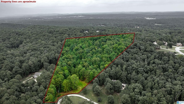 Listing photo 3 for LOT1 Brookview Ln Unit 1, Helena AL 35080