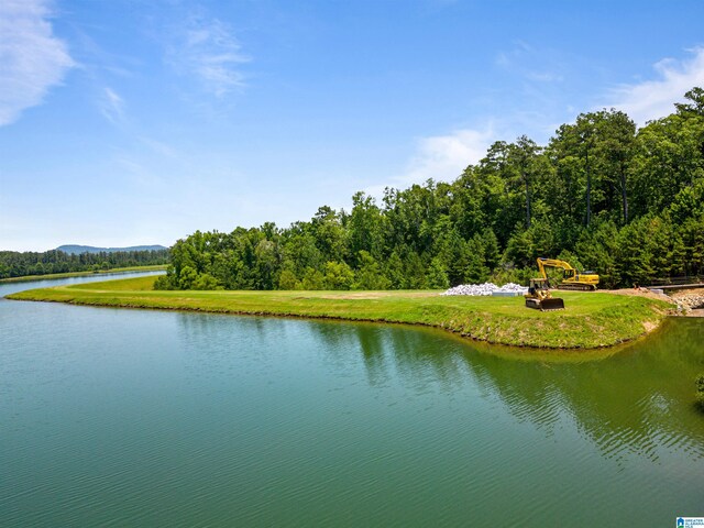 LOTS1 Saunders Bridge Rd Unit 1 & 2, Sterrett, AL 35147