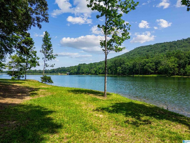 LOTS1 Saunders Bridge Rd Unit 1 & 2, Sterrett, AL 35147