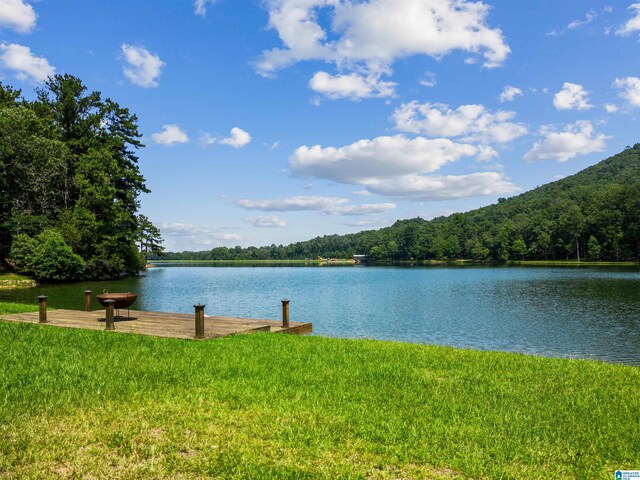 LOTS1 Saunders Bridge Rd Unit 1 & 2, Sterrett, AL 35147