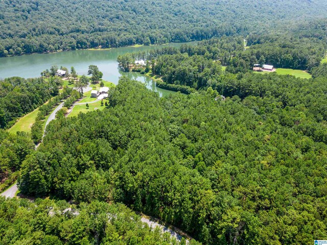 LOTS1 Saunders Bridge Rd Unit 1 & 2, Sterrett, AL 35147