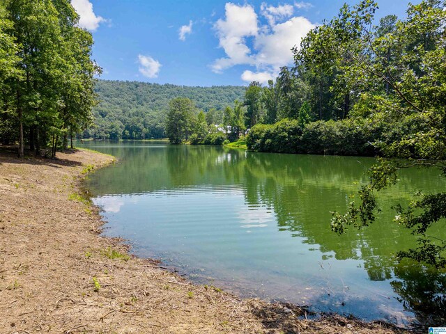 LOTS1 Saunders Bridge Rd Unit 1 & 2, Sterrett, AL 35147