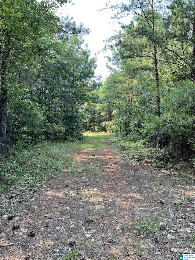 0 County Road 465 Unit 1, Clanton AL, 35045 land for sale