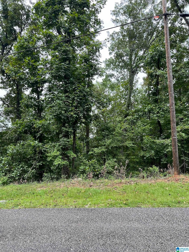 0 River Dr Unit 7, Wilsonville AL, 35115 land for sale