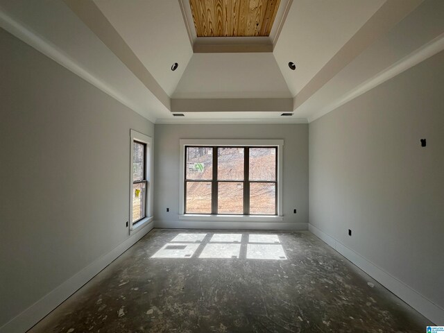 spare room featuring a raised ceiling, crown molding, and high vaulted ceiling