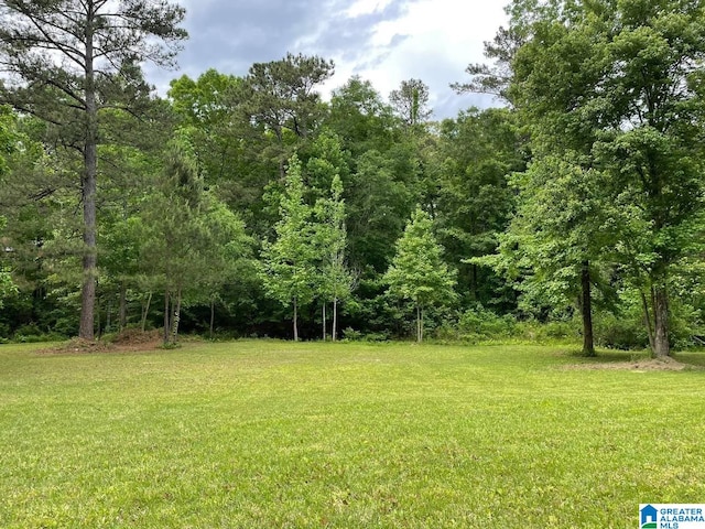 Listing photo 3 for 2215 Shiver Dr Unit 2Lots, Bessemer AL 35022