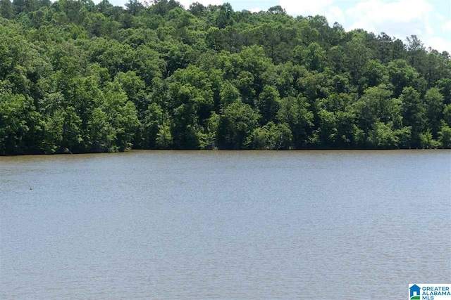 LOT20 Foster Cove Dr Unit 20, Lineville AL, 36266 land for sale