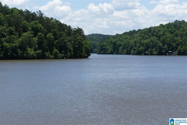 Listing photo 2 for LOT20 Foster Cove Dr Unit 20, Lineville AL 36266