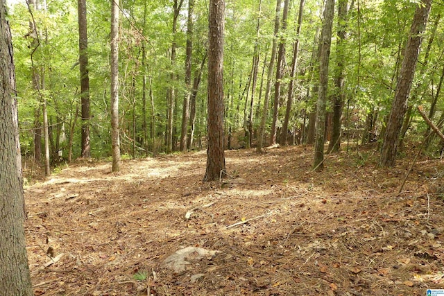 Listing photo 3 for LOT20 Foster Cove Dr Unit 20, Lineville AL 36266