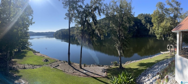 view of water feature