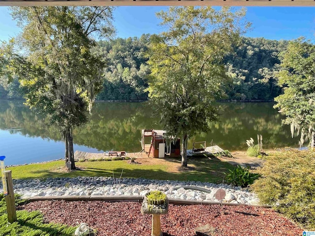 view of home's community with a water view