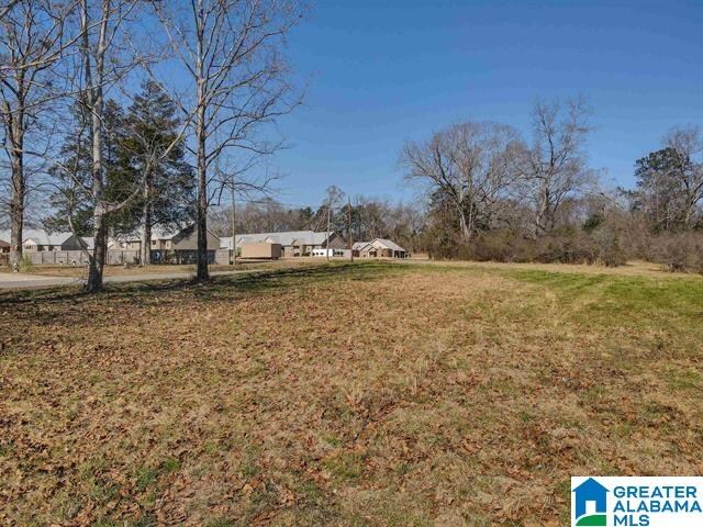 807 Yellowleaf Rd Unit 1, Clanton AL, 35045 land for sale