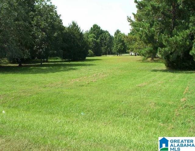 Listing photo 3 for 4715 Speedway Blvd Unit 5Acres, Lincoln AL 35096