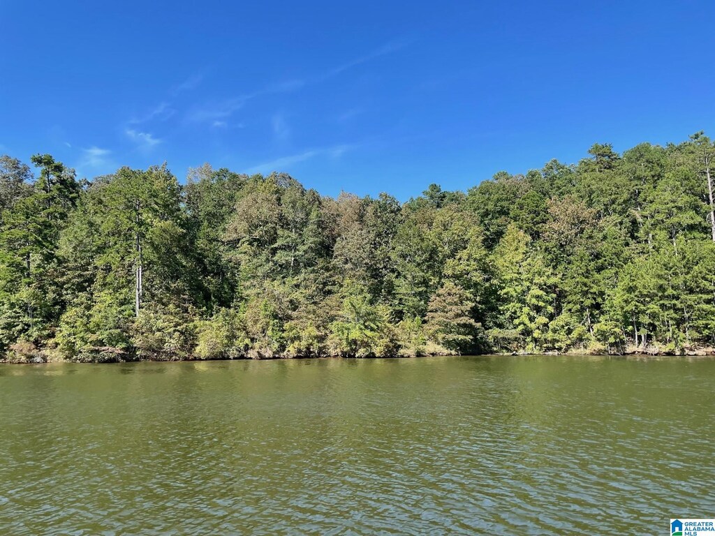 County Road 4311 Unit 5, Wedowee, AL 36278