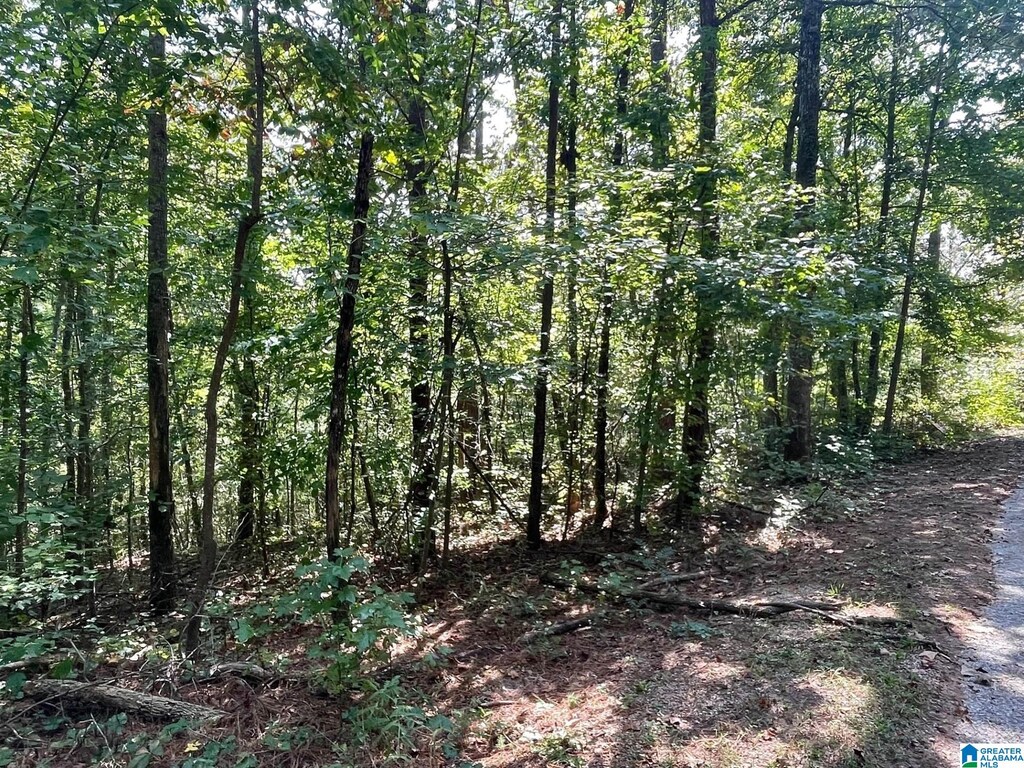 County Road 4311 Unit 5, Wedowee, AL 36278