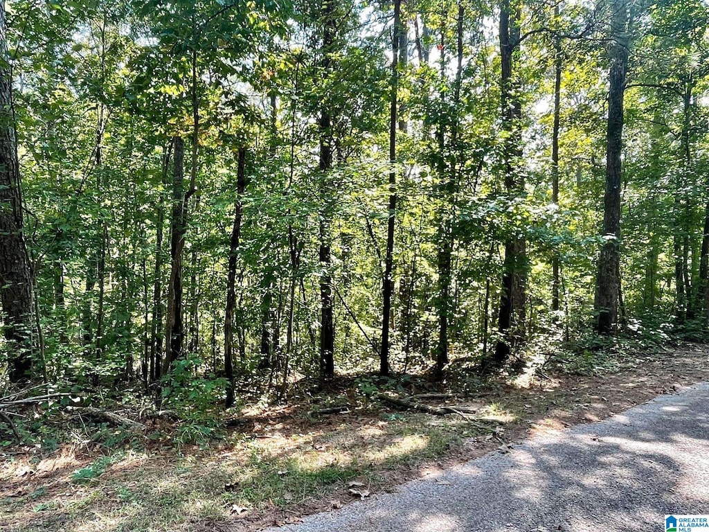 County Road 4311 Unit 5, Wedowee, AL 36278