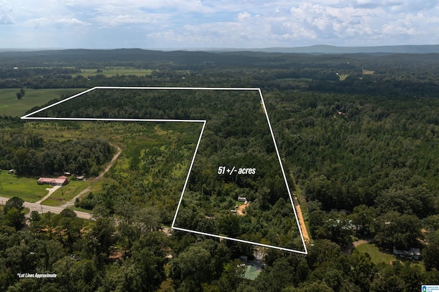 0 Creek Archery Club Rd Unit 0, Vincent AL, 35178 land for sale