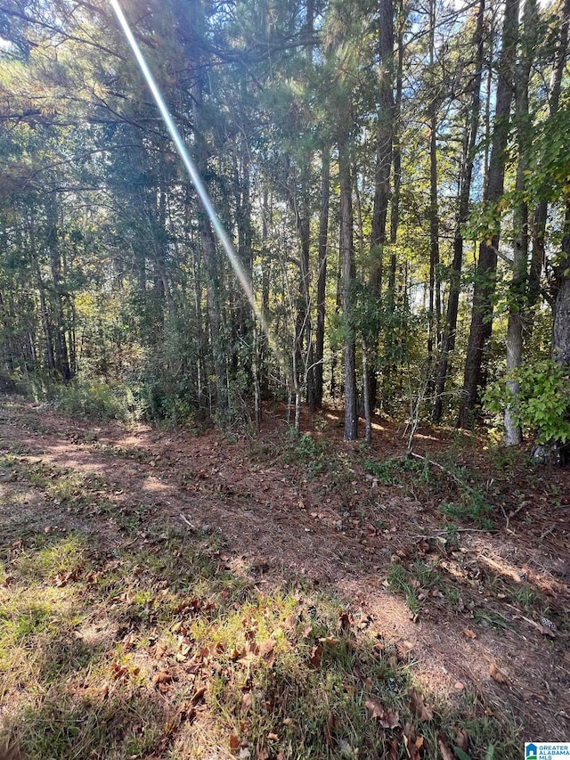 1ACRE County Road 19 Unit 1, Woodland AL, 36280 land for sale