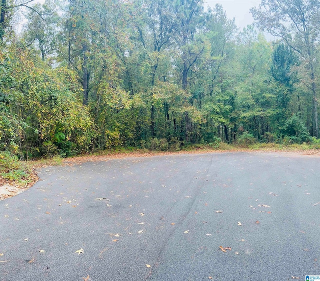 0 Autumn Ln Unit 9, Pell City AL, 35128 land for sale